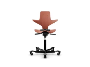 Silla Hag Capisco
